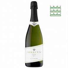 Josep Mashas Brut NV